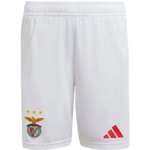 Calção I Benfica 2024 2025 Adidas oficial