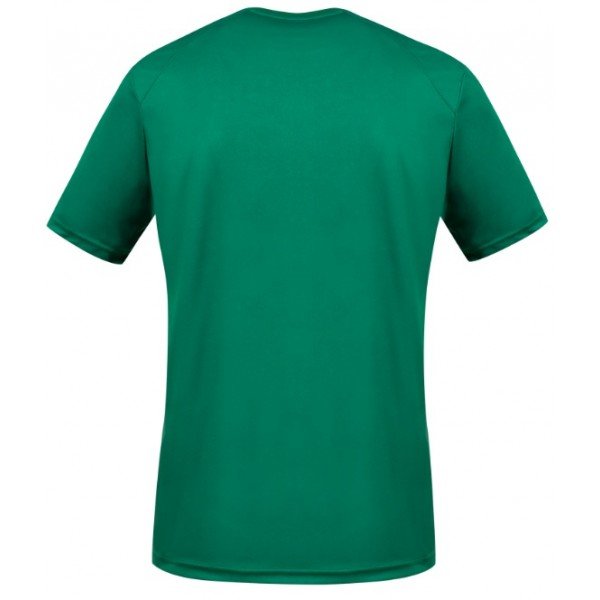 Camisa I Seleção de Camarões 2021 Le Coq Sportif oficial Camisa I Seleção de Camarões 2021 Le Coq Sportif oficial