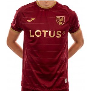 Camisa II Norwich 2022 2023 Joma oficial 