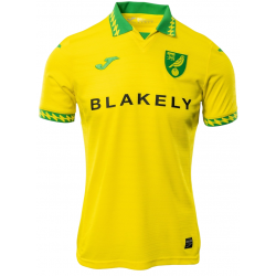 Camisa I Norwich 2025 2026 Joma oficial 