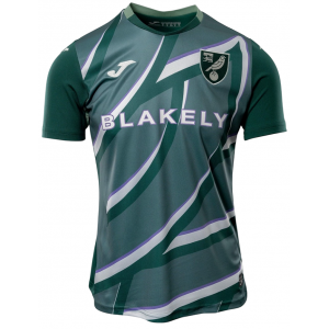 Camisa II Norwich 2025 2026 Joma oficial 