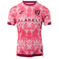 Camisa III Norwich 2025 2026 Joma oficial 
