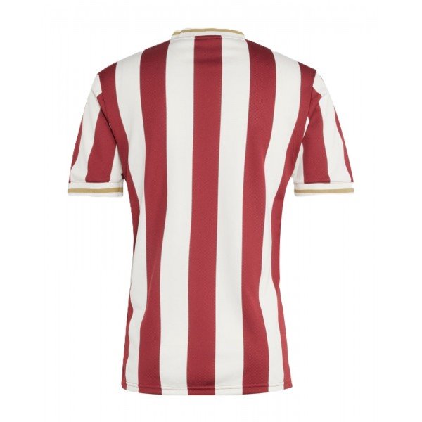 Camisa Nuremberg 2024 2025 Adidas oficial Especial