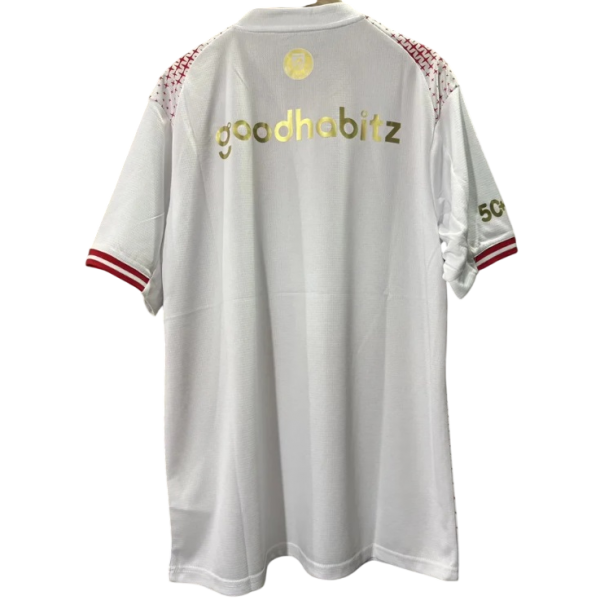 Camisa PSV Eindhoven 2025 2026 Puma oficial Especial Camisa PSV Eindhoven 2025 2026 Puma oficial Especial