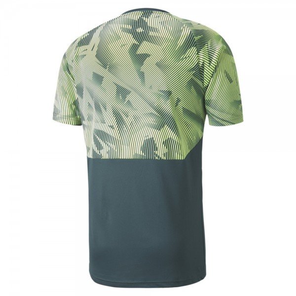 Camisa de treino oficial Puma Palmeiras 2020 verde