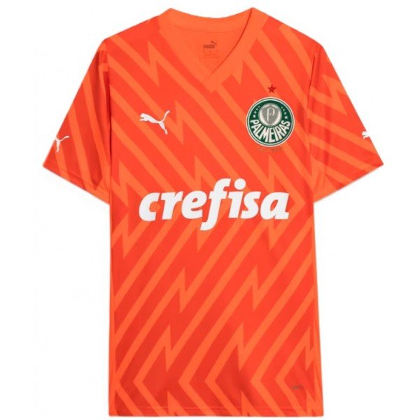 Camisa Goleiro III Palmeiras 2024 Puma oficial 
