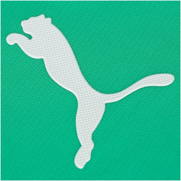 Camisa oficial Puma Palmeiras 2019 III jogador
