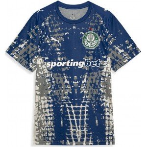 Camisa Goleiro Palmeiras 2026 Puma oficial Especial Camisa Goleiro Palmeiras 2026 Puma oficial Especial