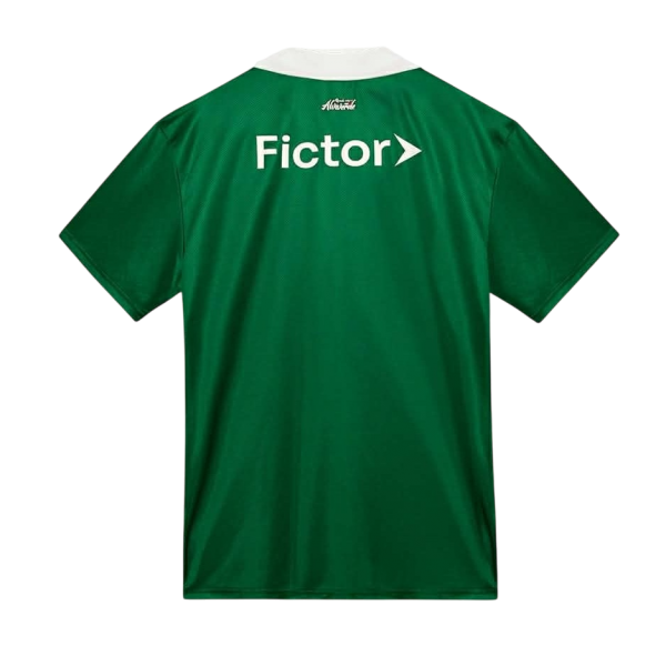 Camisa Palmeiras 2025 Puma oficial Especial Camisa Palmeiras 2025 Puma oficial Especial