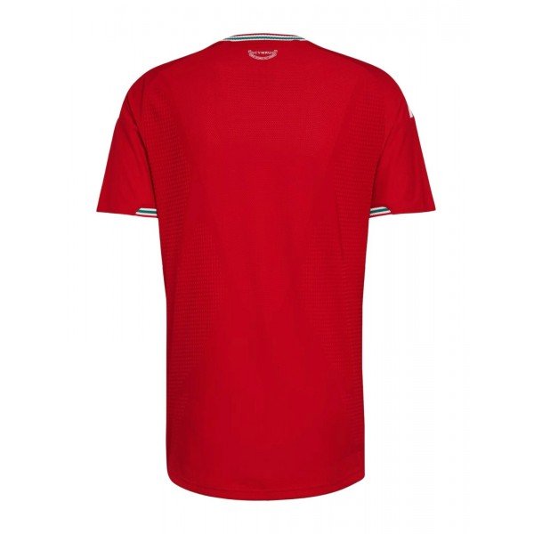 Camisa I Seleção do País de Gales 2026 Adidas oficial 