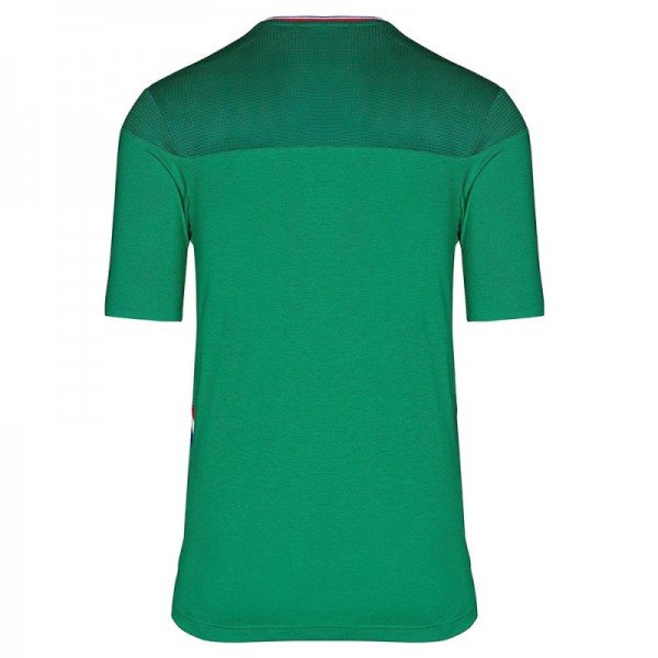 Camisa oficial Le Coq Sportif Saint Etienne 2019 2020 I jogador