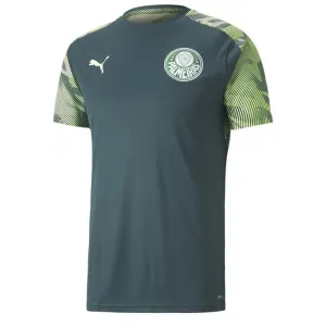 Camisa de treino oficial Puma Palmeiras 2020 verde