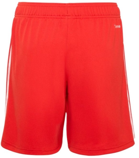 Calção II Benfica 2026 2027 Adidas oficial Calção II Benfica 2026 2027 Adidas oficial