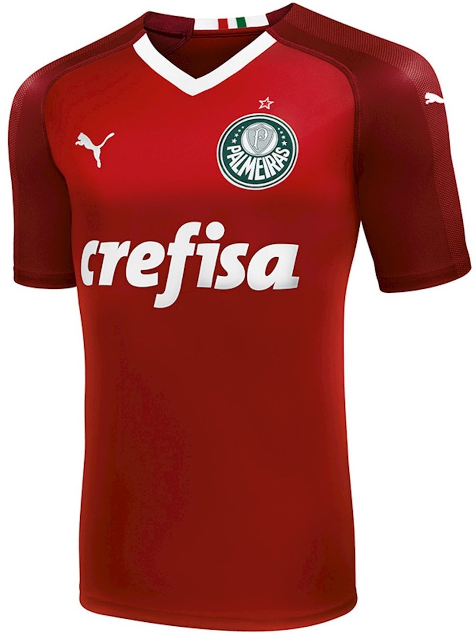 Camisa oficial Puma Palmeiras 2019 II Goleiro