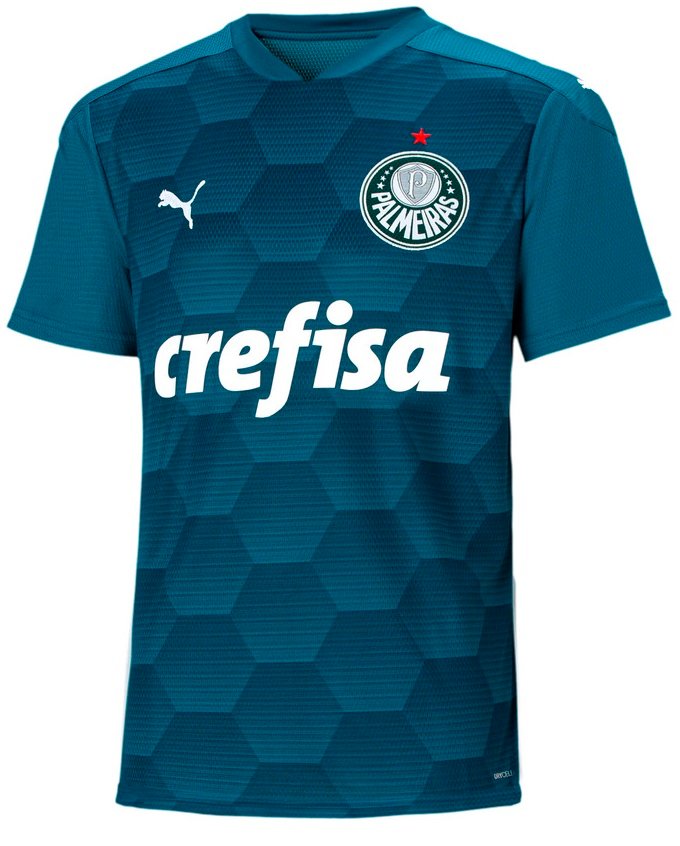 Camisa oficial Puma Palmeiras 2020 II Goleiro