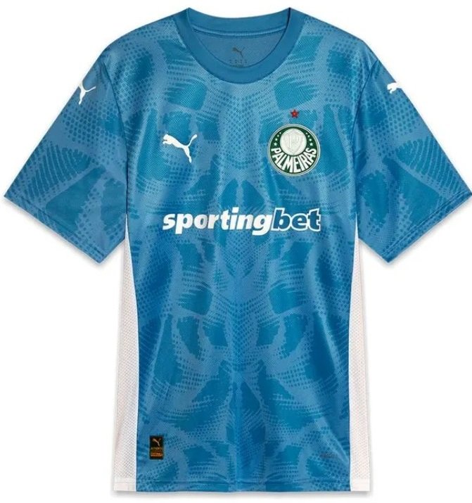 Camisa Goleiro I Palmeiras 2025 Puma oficial 