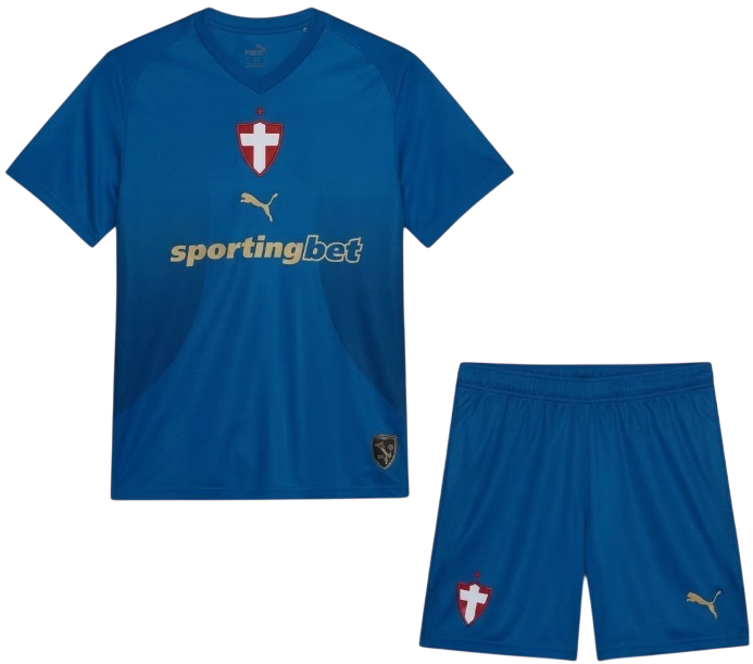 Kit infantil III Palmeiras 2026 Puma oficial
